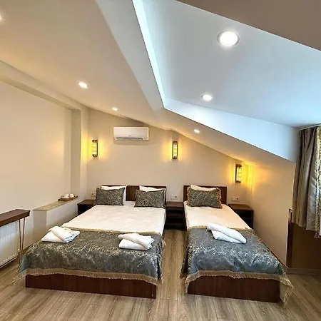 Chestnut Mansion Old 酒店 伊斯坦布尔