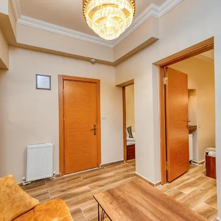 Chestnut Mansion Old * 伊斯坦布尔