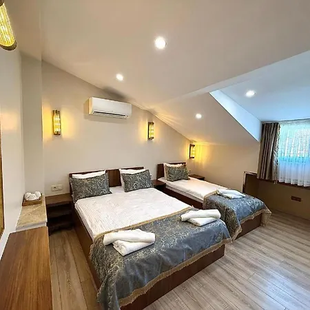 Chestnut Mansion Old 酒店 *
